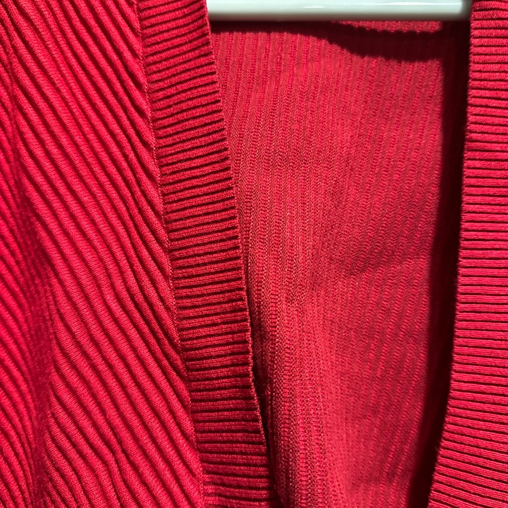 Elegant Red Ribbed Dress - Picture 4 of 5